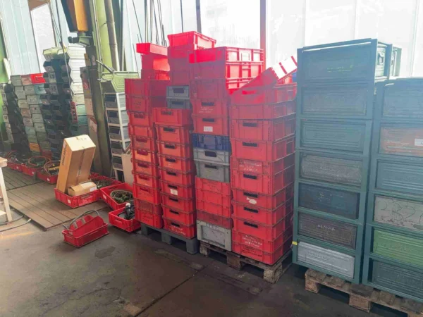 Posten Kunststoff-Stapelbehälter, ca. 50 Stück